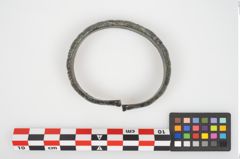 Foto von Bronzearmreif (NHMW-PRAE-026277)